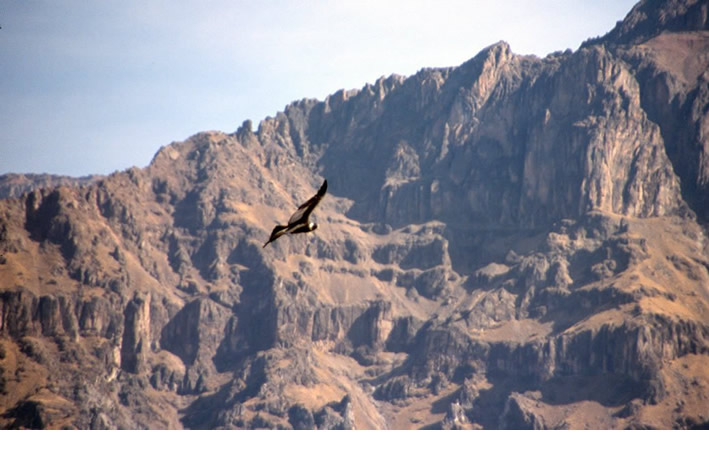 Colca Canyon: Ein Naturwunder voller Geschichte und Magie