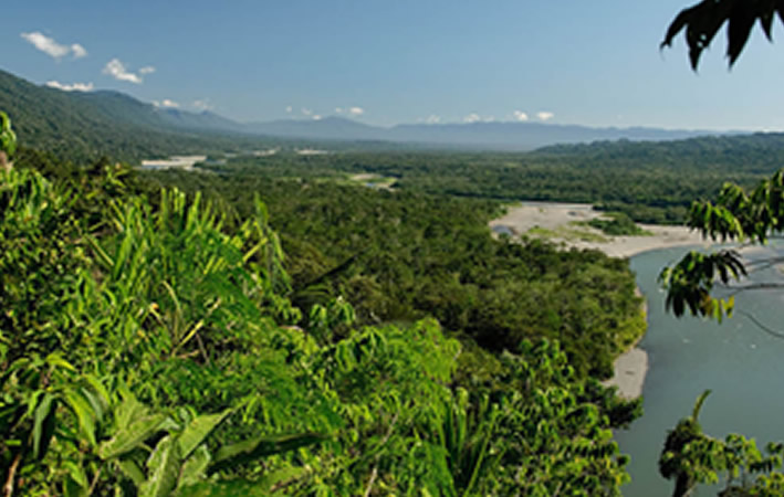 Nationalpark Manú: Ein Biodiversitätswunder und Höhepunkt für Naturbegeisterte
