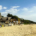 Inselhopping vor Koh Lanta: Saladan Pier, Morakot Cave, Koh Kradan & Ko Ngai erleben